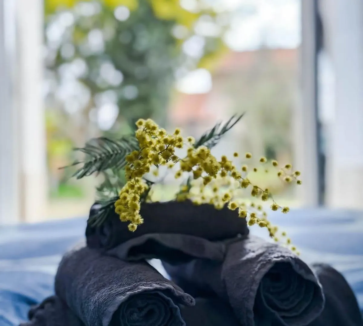 Villa Mimosa 卡萨诺玛纳格 招待所